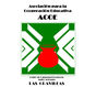 Asociación para la Cooperación Educativa (ACOE)
