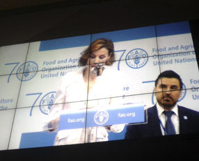 Letizia