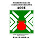 Asociación para la Cooperación Educativa (ACOE)
